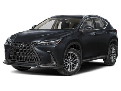 2024 Lexus NX NX 350