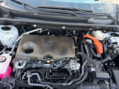 2024 Toyota RAV4 HYBRID Hybrid LE