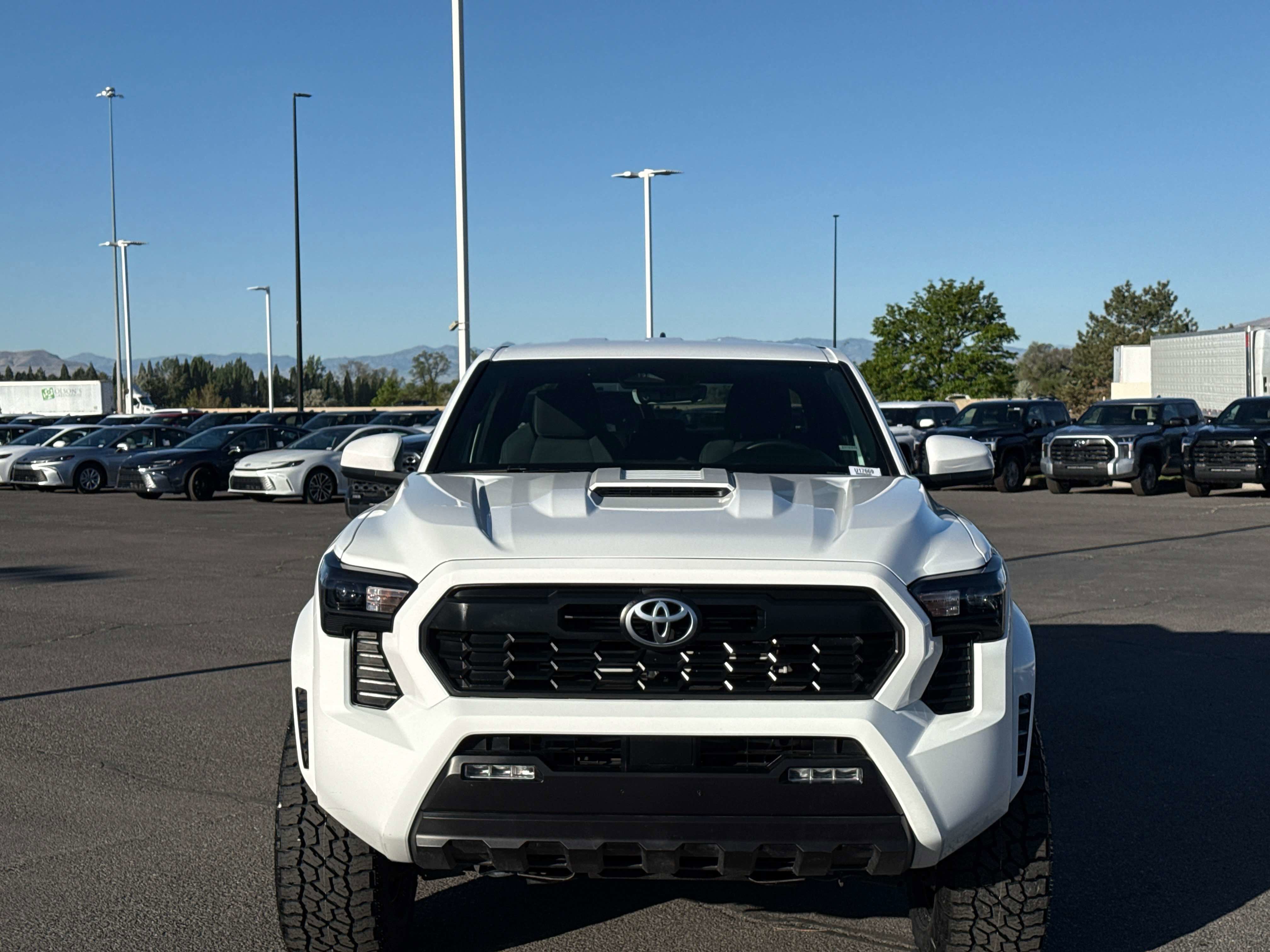 2025 Toyota TACOMA TRD SPORT TRD Sport