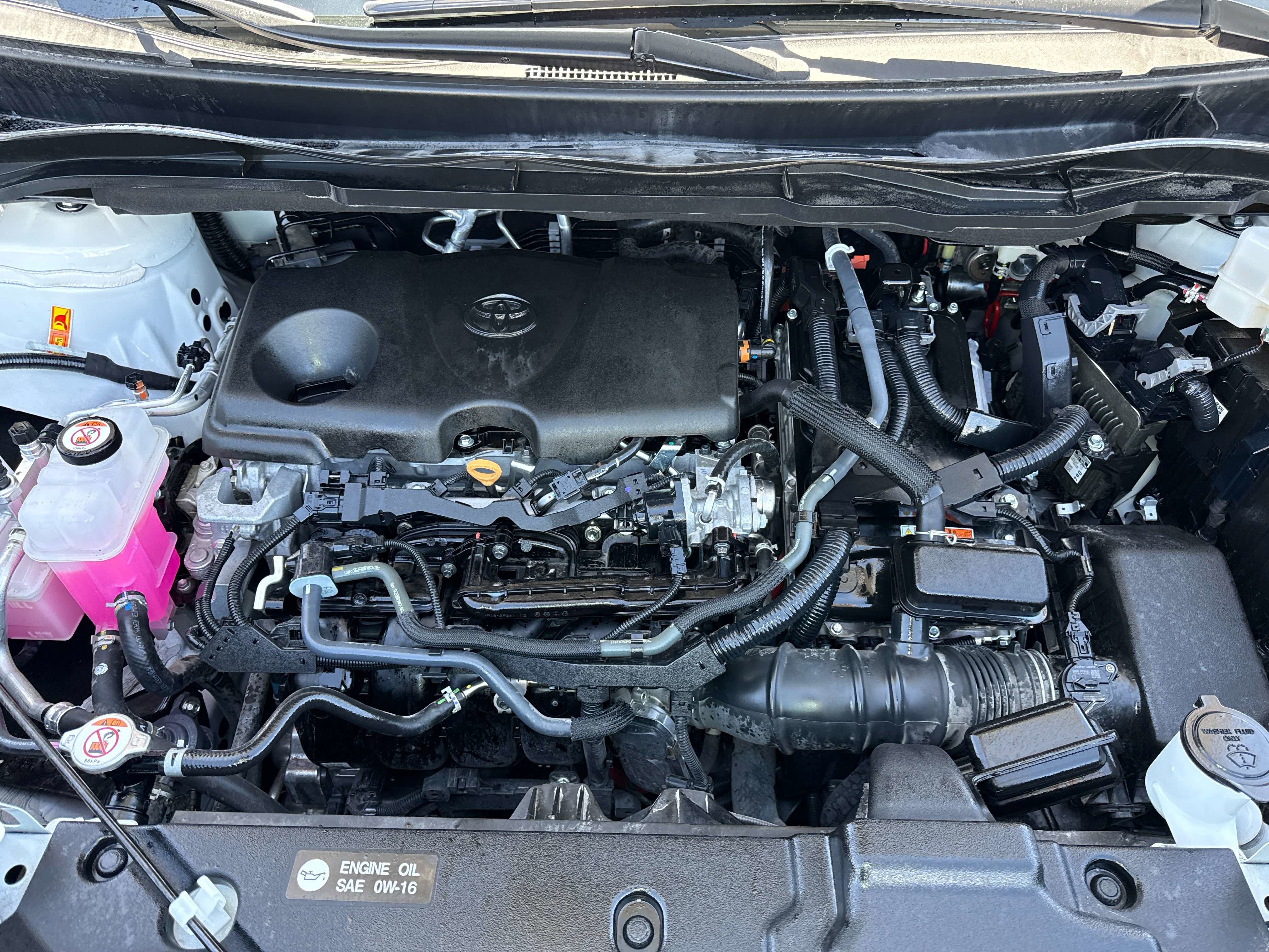 2025 Toyota SIENNA LE LE