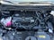 2024 Toyota SIENNA XLE XLE