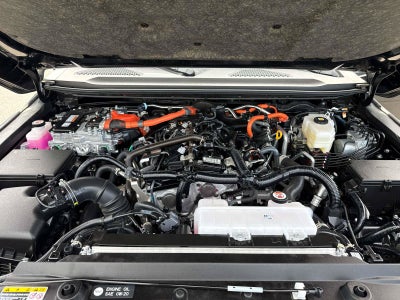 2025 Toyota Land Cruiser 4WD (Natl)