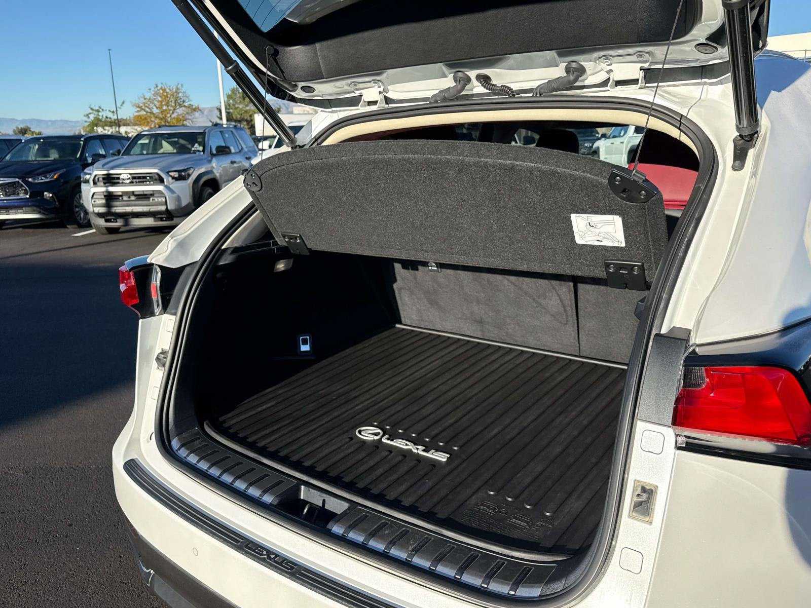 2021 Lexus NX HYBRID NX 300h