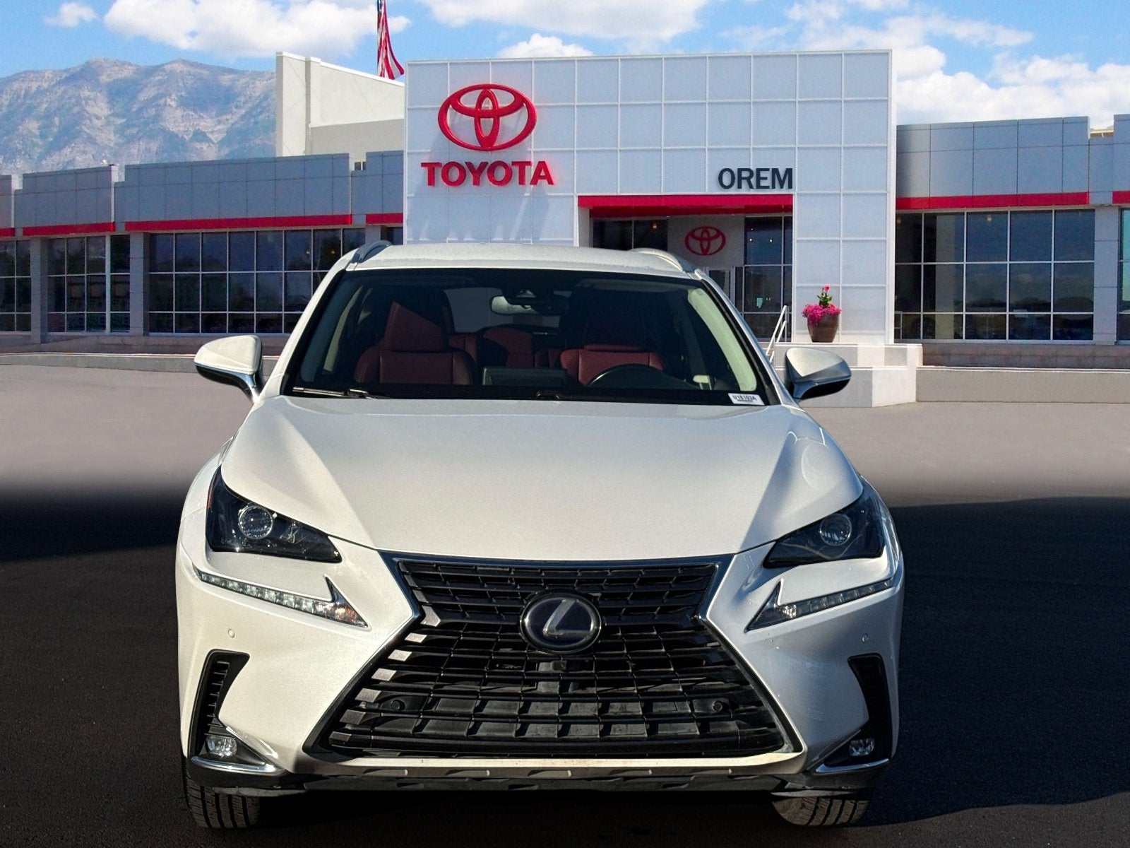 2021 Lexus NX HYBRID NX 300h