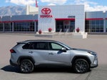 2023 Toyota RAV4 HYBRID Hybrid Limited